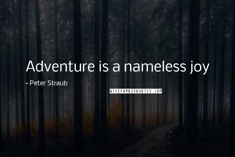 Peter Straub Quotes: Adventure is a nameless joy