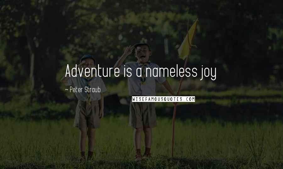 Peter Straub Quotes: Adventure is a nameless joy