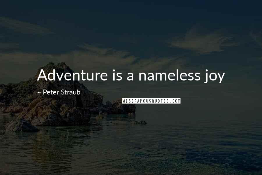 Peter Straub Quotes: Adventure is a nameless joy