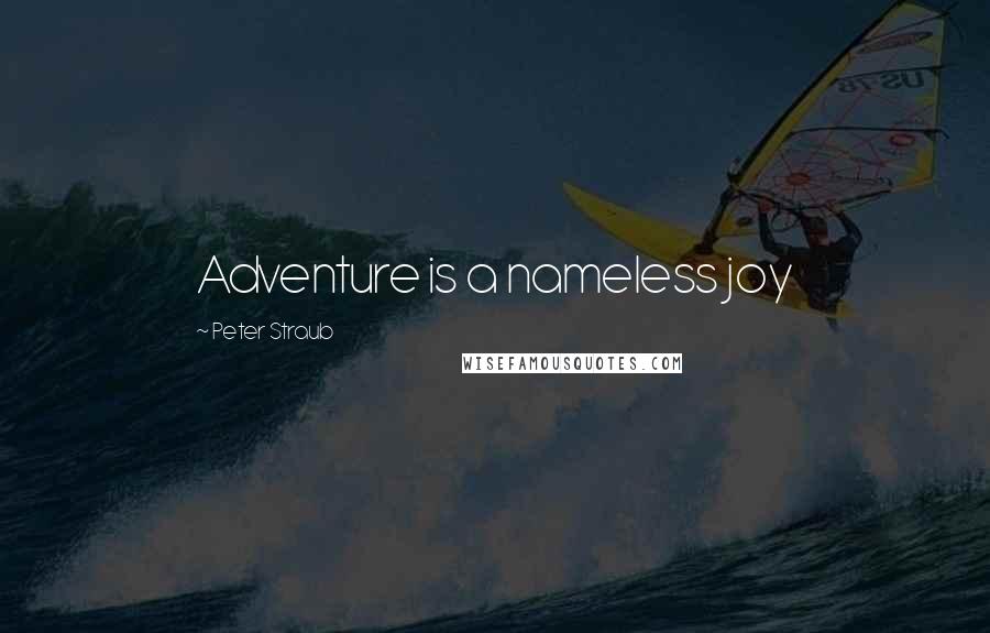 Peter Straub Quotes: Adventure is a nameless joy