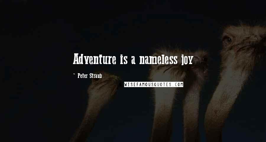 Peter Straub Quotes: Adventure is a nameless joy