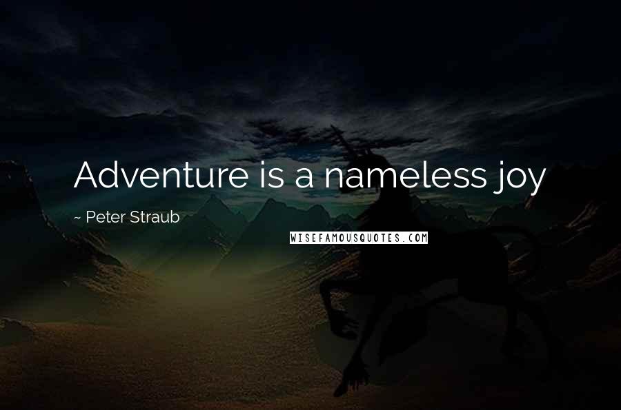 Peter Straub Quotes: Adventure is a nameless joy