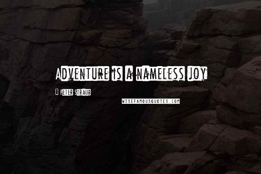 Peter Straub Quotes: Adventure is a nameless joy