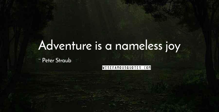 Peter Straub Quotes: Adventure is a nameless joy