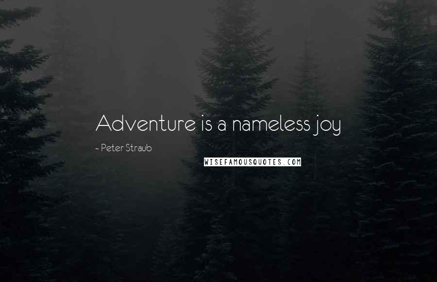 Peter Straub Quotes: Adventure is a nameless joy