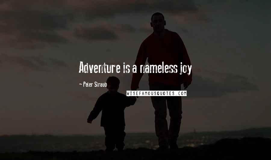 Peter Straub Quotes: Adventure is a nameless joy
