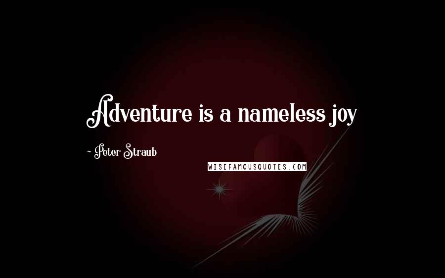 Peter Straub Quotes: Adventure is a nameless joy