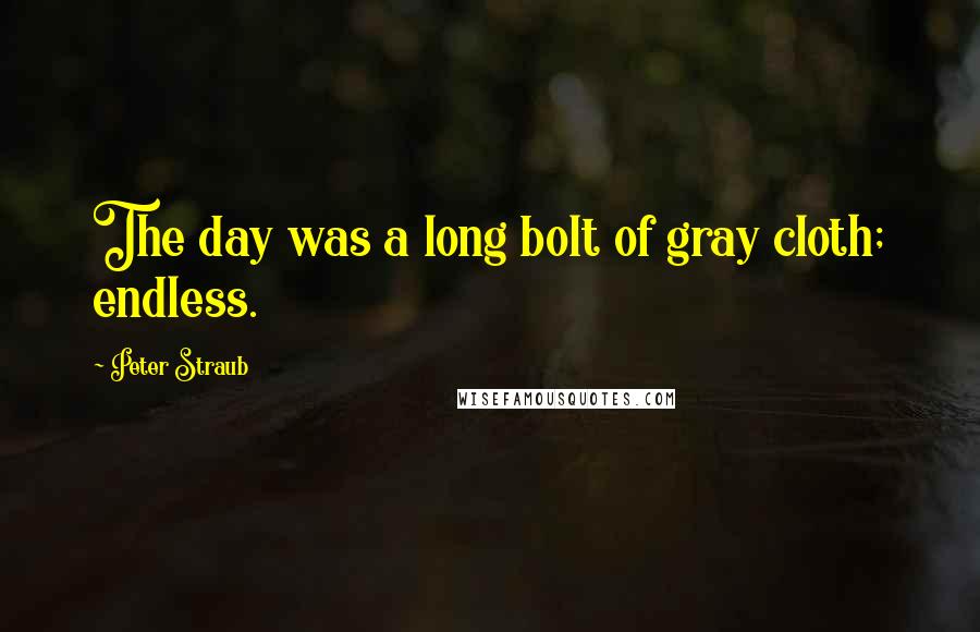 Peter Straub Quotes: The day was a long bolt of gray cloth; endless.