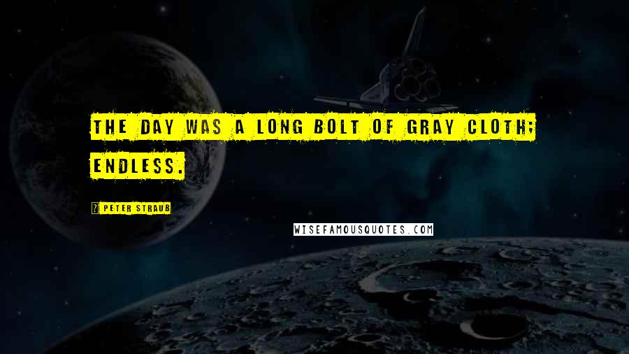 Peter Straub Quotes: The day was a long bolt of gray cloth; endless.