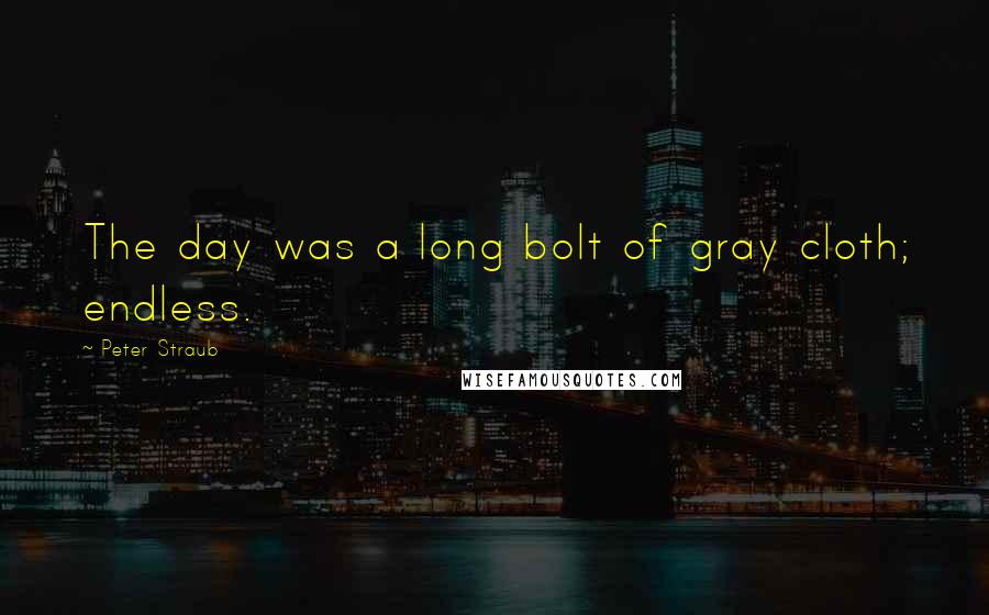 Peter Straub Quotes: The day was a long bolt of gray cloth; endless.