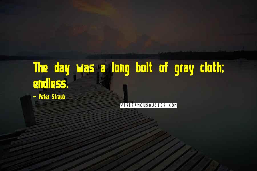 Peter Straub Quotes: The day was a long bolt of gray cloth; endless.