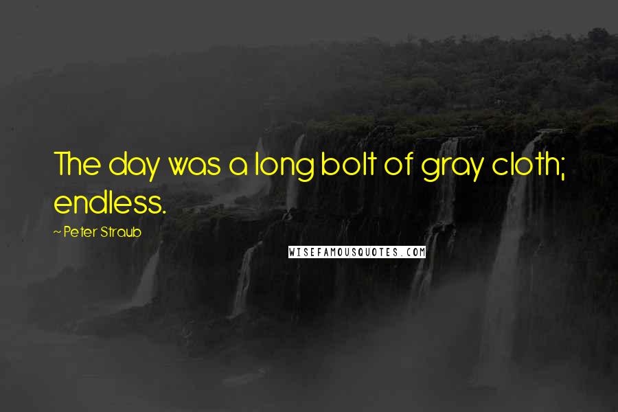 Peter Straub Quotes: The day was a long bolt of gray cloth; endless.