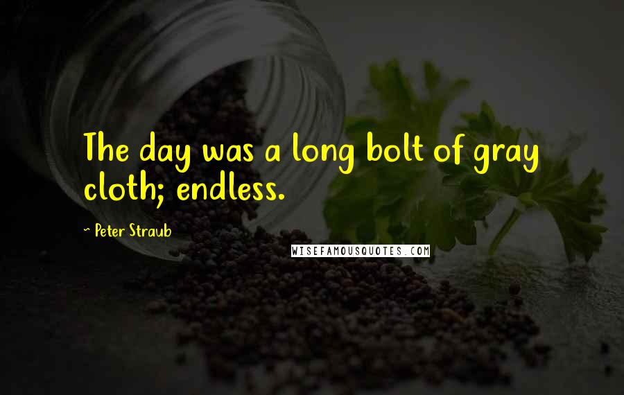 Peter Straub Quotes: The day was a long bolt of gray cloth; endless.