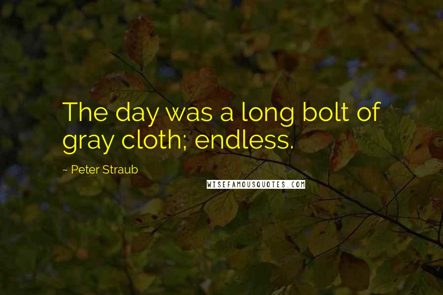 Peter Straub Quotes: The day was a long bolt of gray cloth; endless.