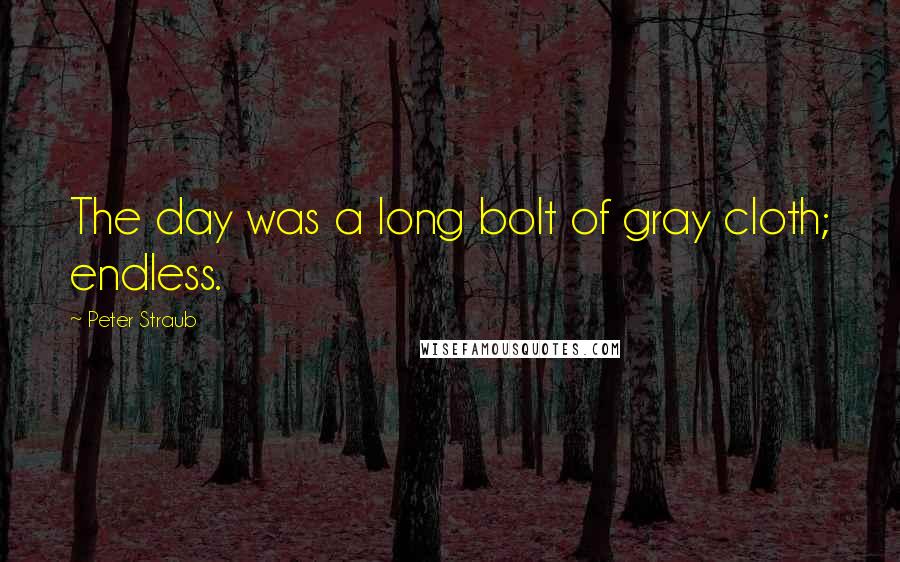 Peter Straub Quotes: The day was a long bolt of gray cloth; endless.