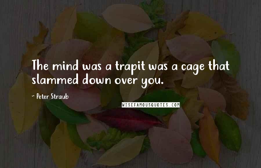 Peter Straub Quotes: The mind was a trapit was a cage that slammed down over you.