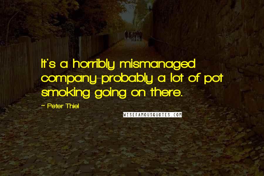 Peter Thiel Quotes: It's a horribly mismanaged company-probably a lot of pot smoking going on there.