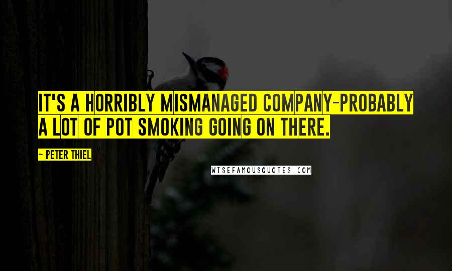 Peter Thiel Quotes: It's a horribly mismanaged company-probably a lot of pot smoking going on there.