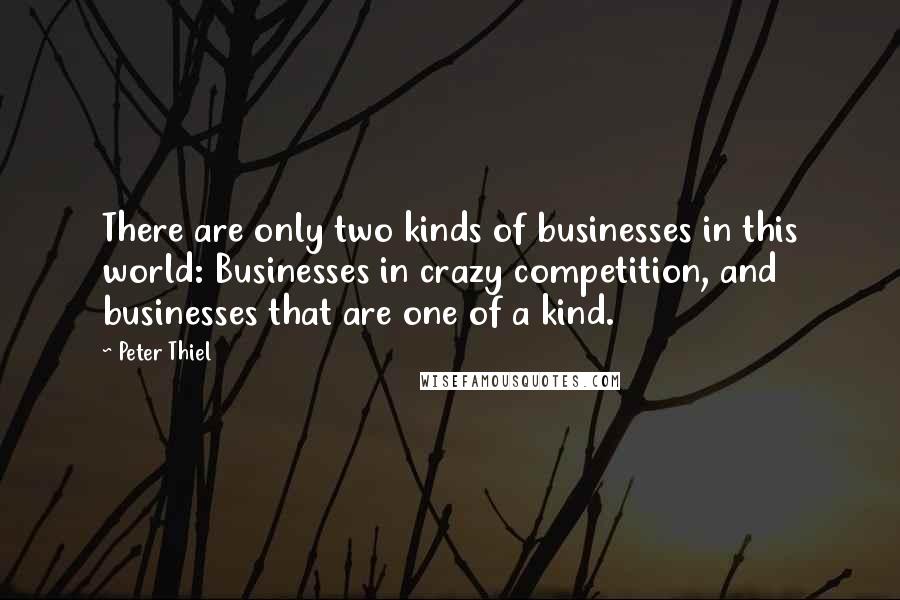 Peter Thiel Quotes: There are only two kinds of businesses in this world: Businesses in crazy competition, and businesses that are one of a kind.