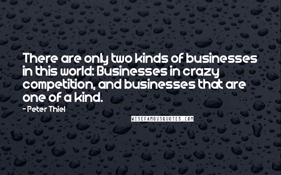 Peter Thiel Quotes: There are only two kinds of businesses in this world: Businesses in crazy competition, and businesses that are one of a kind.