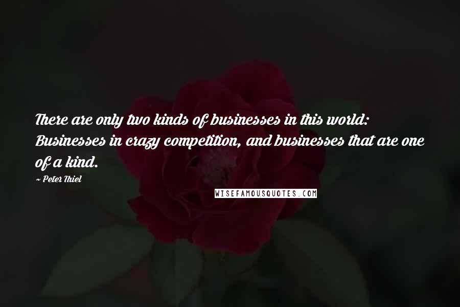 Peter Thiel Quotes: There are only two kinds of businesses in this world: Businesses in crazy competition, and businesses that are one of a kind.