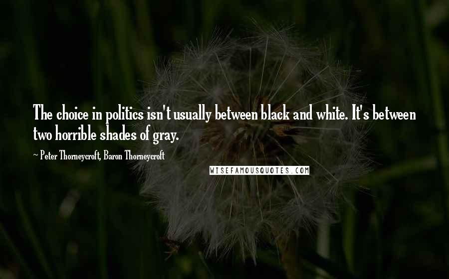 Peter Thorneycroft, Baron Thorneycroft Quotes: The choice in politics isn't usually between black and white. It's between two horrible shades of gray.