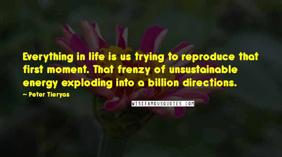 Peter Tieryas Quotes: Everything in life is us trying to reproduce that first moment. That frenzy of unsustainable energy exploding into a billion directions.