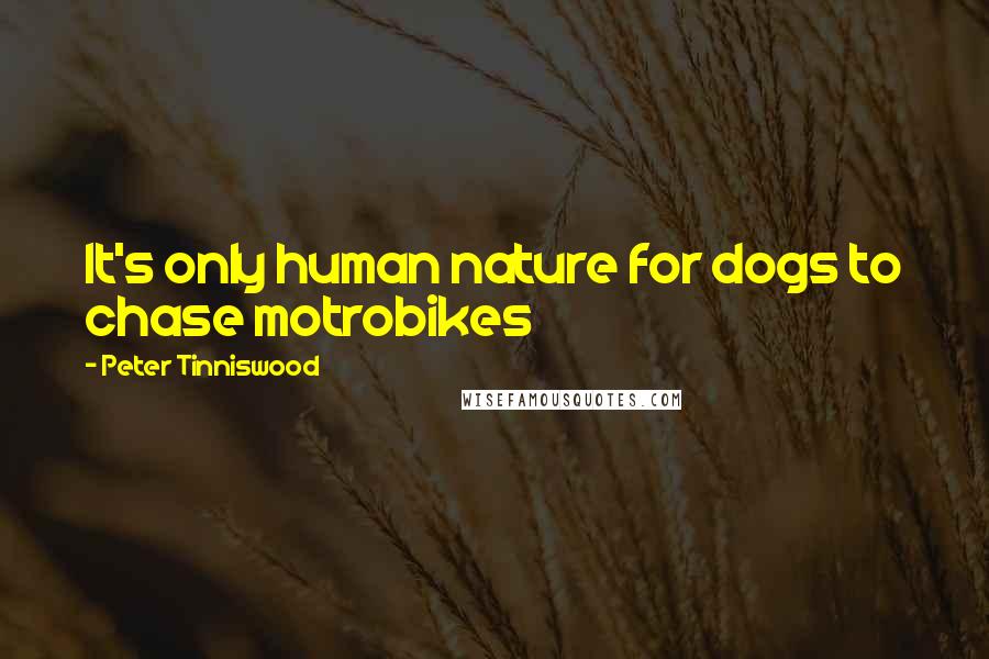 Peter Tinniswood Quotes: It's only human nature for dogs to chase motrobikes