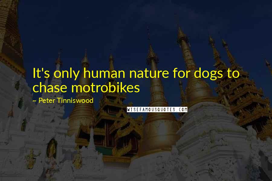 Peter Tinniswood Quotes: It's only human nature for dogs to chase motrobikes