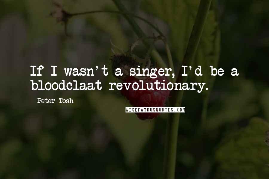 Peter Tosh Quotes: If I wasn't a singer, I'd be a bloodclaat revolutionary.