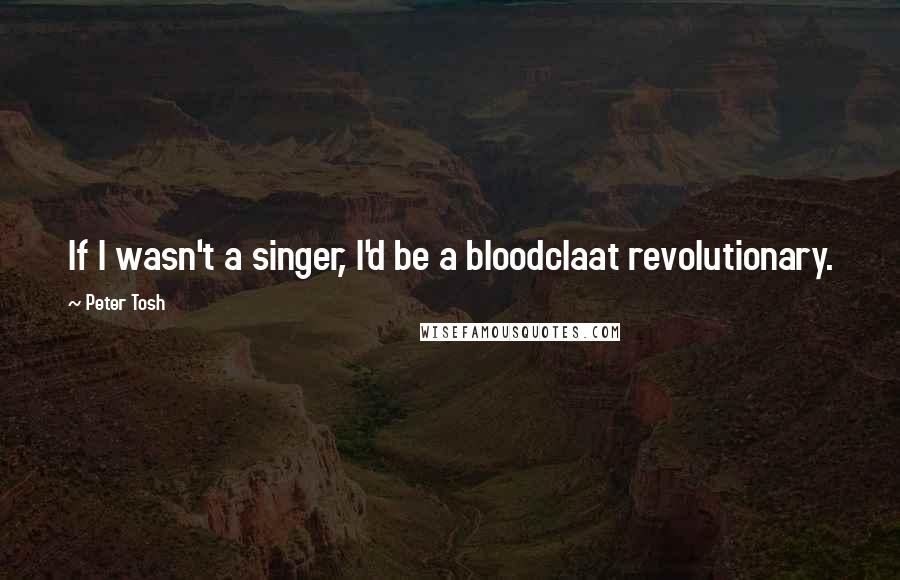 Peter Tosh Quotes: If I wasn't a singer, I'd be a bloodclaat revolutionary.