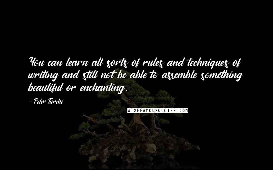 Peter Turchi Quotes: You can learn all sorts of rules and techniques of writing and still not be able to assemble something beautiful or enchanting.