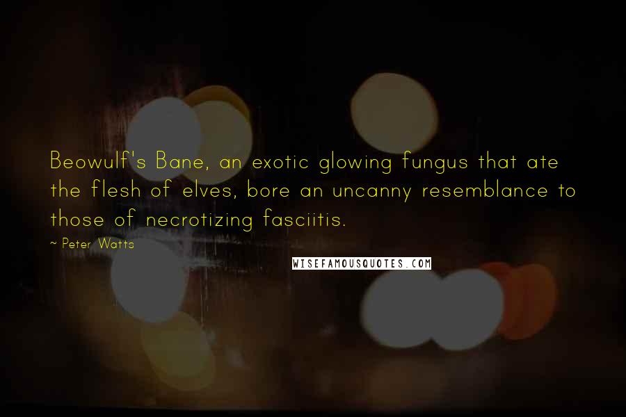 Peter Watts Quotes: Beowulf's Bane, an exotic glowing fungus that ate the flesh of elves, bore an uncanny resemblance to those of necrotizing fasciitis.
