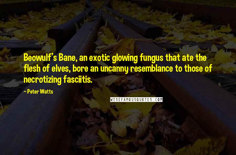 Peter Watts Quotes: Beowulf's Bane, an exotic glowing fungus that ate the flesh of elves, bore an uncanny resemblance to those of necrotizing fasciitis.