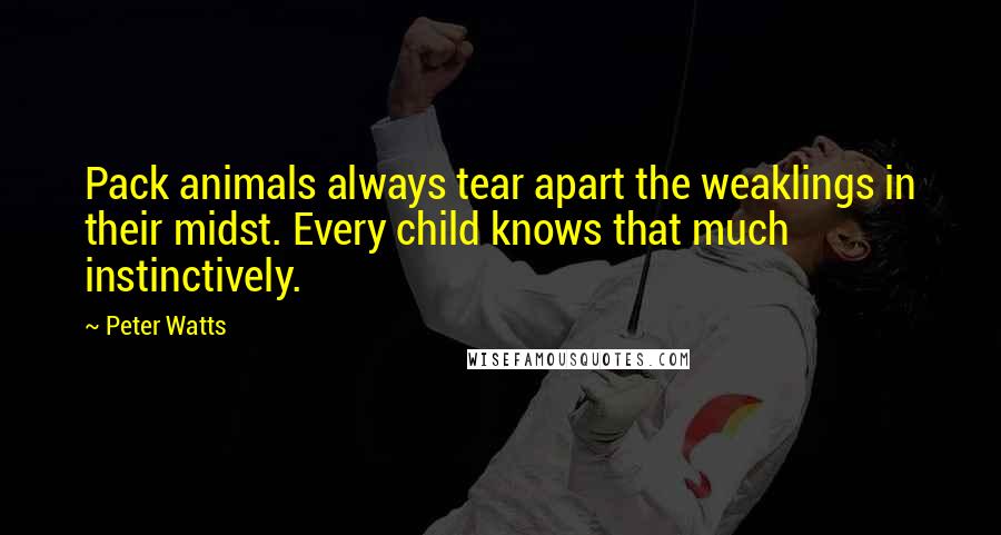Peter Watts Quotes: Pack animals always tear apart the weaklings in their midst. Every child knows that much instinctively.
