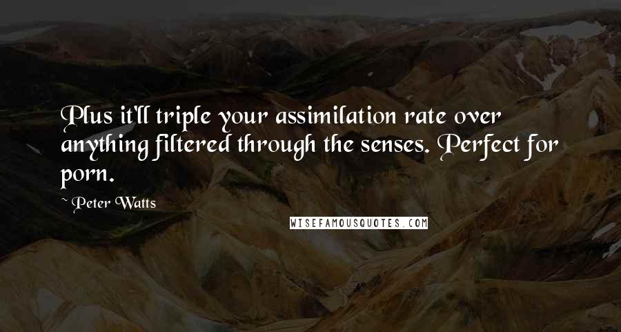 Peter Watts Quotes: Plus it'll triple your assimilation rate over anything filtered through the senses. Perfect for porn.