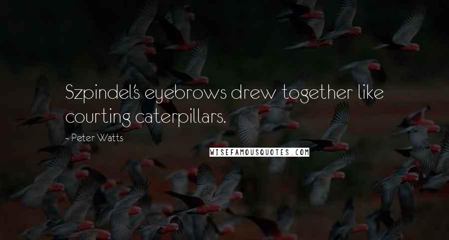 Peter Watts Quotes: Szpindel's eyebrows drew together like courting caterpillars.