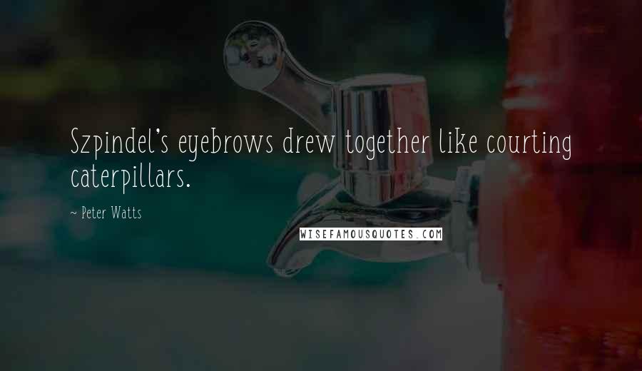 Peter Watts Quotes: Szpindel's eyebrows drew together like courting caterpillars.