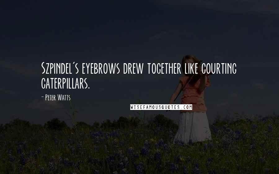 Peter Watts Quotes: Szpindel's eyebrows drew together like courting caterpillars.