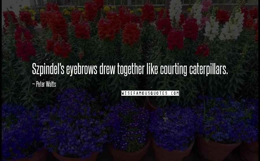 Peter Watts Quotes: Szpindel's eyebrows drew together like courting caterpillars.