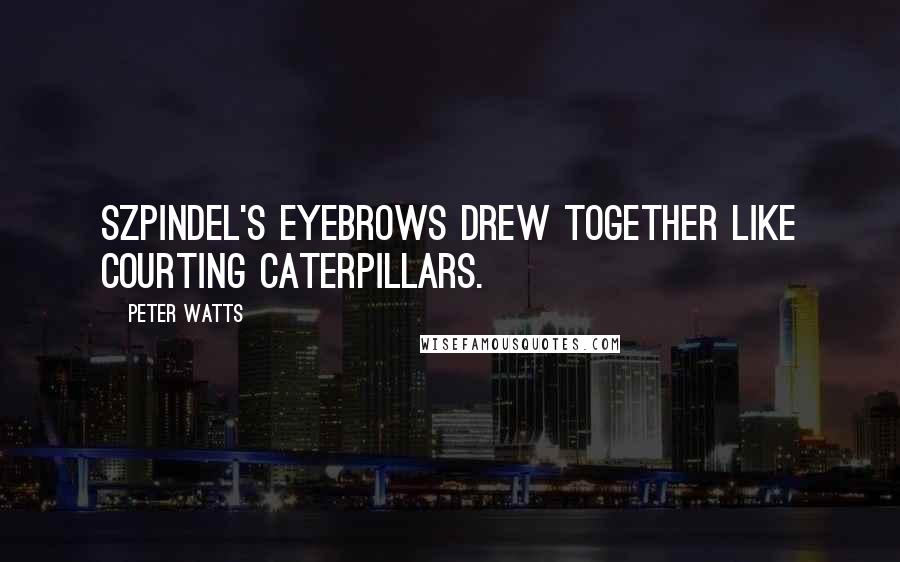 Peter Watts Quotes: Szpindel's eyebrows drew together like courting caterpillars.