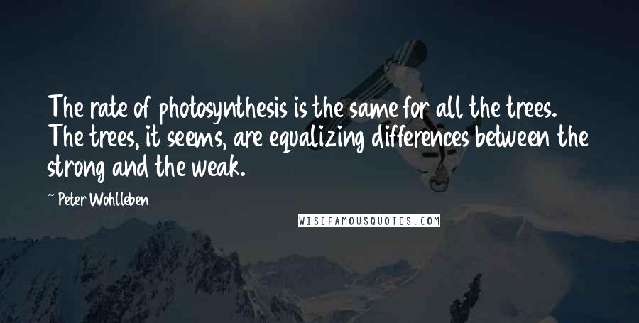Peter Wohlleben Quotes: The rate of photosynthesis is the same for all the trees. The trees, it seems, are equalizing differences between the strong and the weak.
