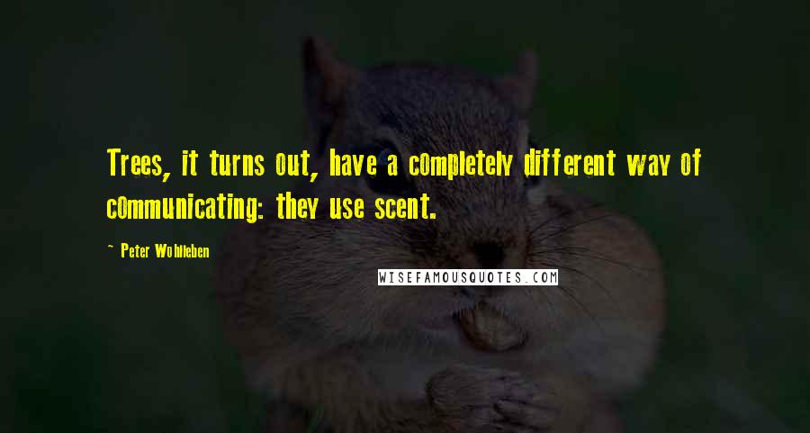 Peter Wohlleben Quotes: Trees, it turns out, have a completely different way of communicating: they use scent.
