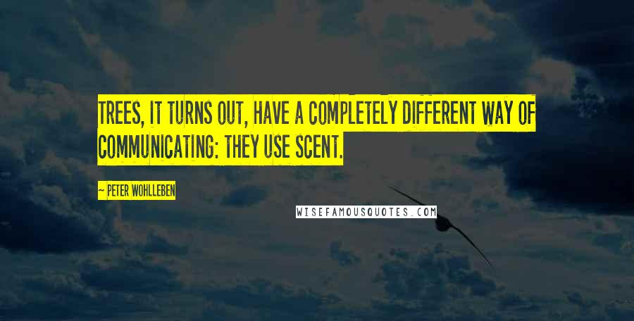 Peter Wohlleben Quotes: Trees, it turns out, have a completely different way of communicating: they use scent.