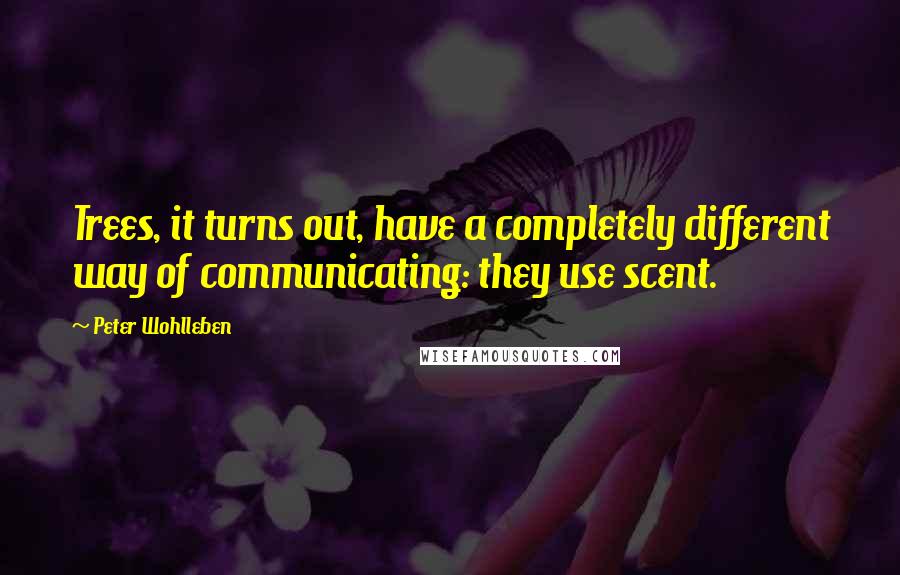 Peter Wohlleben Quotes: Trees, it turns out, have a completely different way of communicating: they use scent.