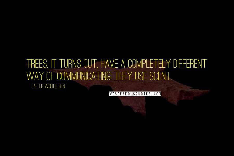 Peter Wohlleben Quotes: Trees, it turns out, have a completely different way of communicating: they use scent.