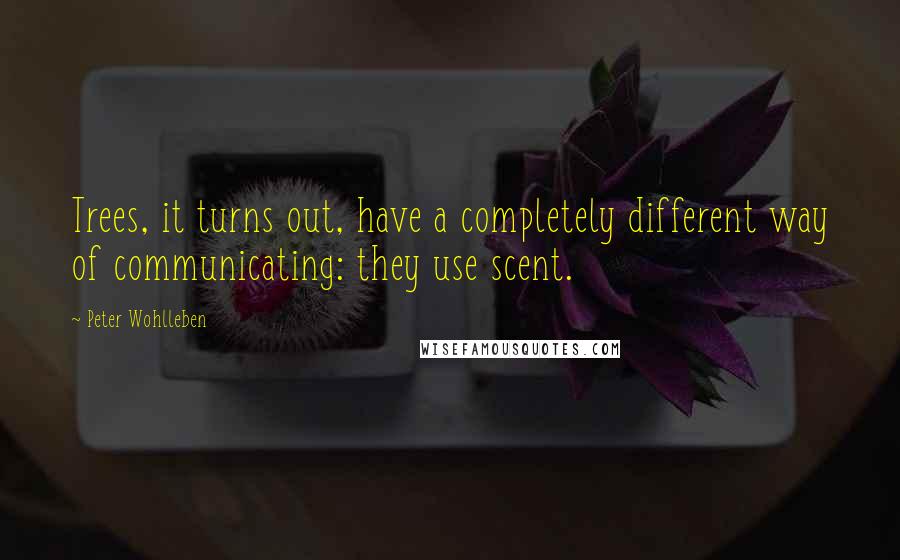 Peter Wohlleben Quotes: Trees, it turns out, have a completely different way of communicating: they use scent.