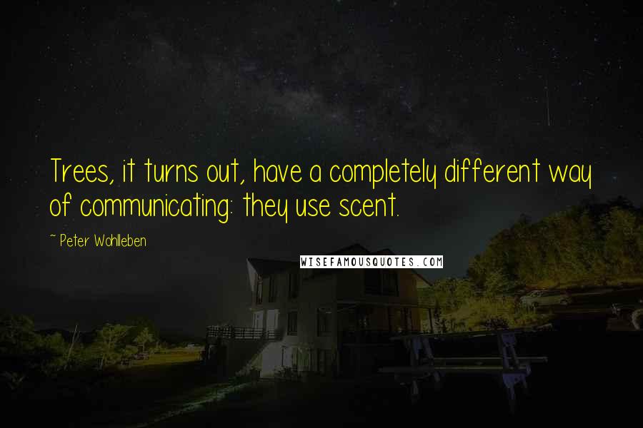 Peter Wohlleben Quotes: Trees, it turns out, have a completely different way of communicating: they use scent.