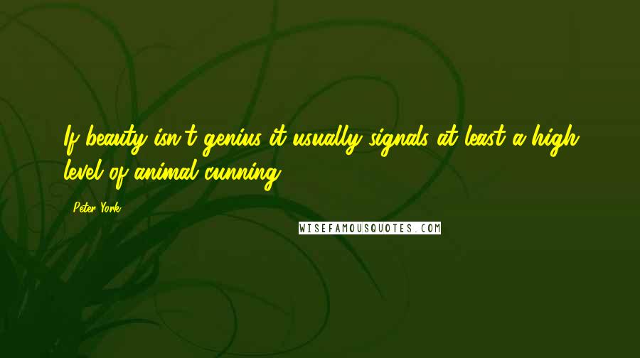 Peter York Quotes: If beauty isn't genius it usually signals at least a high level of animal cunning.