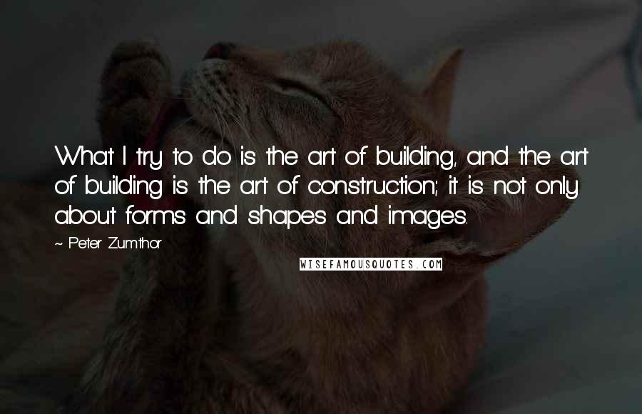 Peter Zumthor Quotes: What I try to do is the art of building, and the art of building is the art of construction; it is not only about forms and shapes and images.